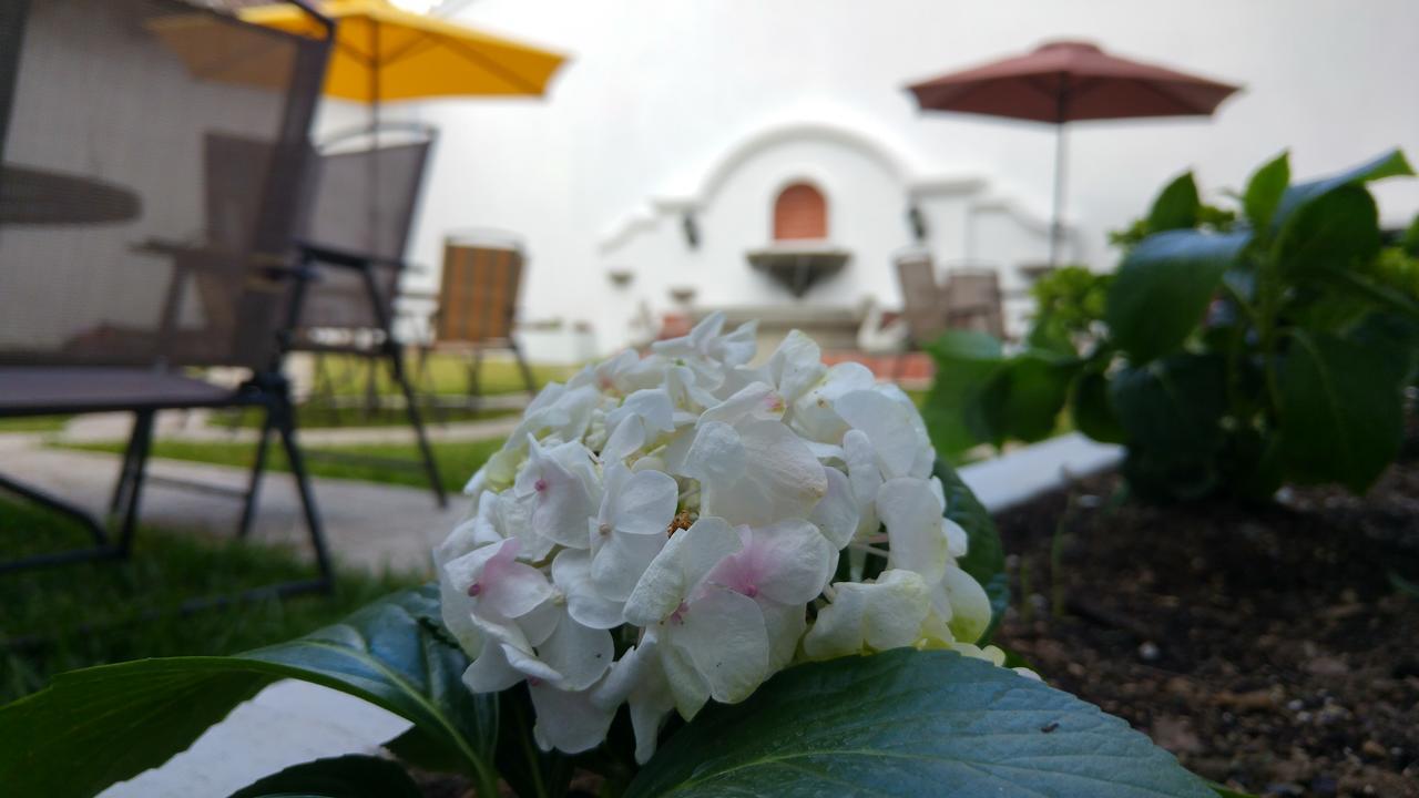 Ixkanul Antigua Hotel Kültér fotó