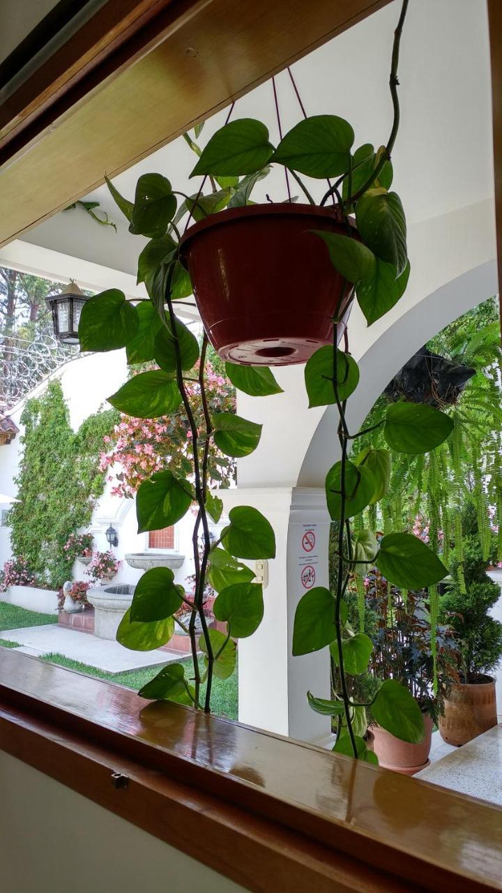 Ixkanul Antigua Hotel Kültér fotó